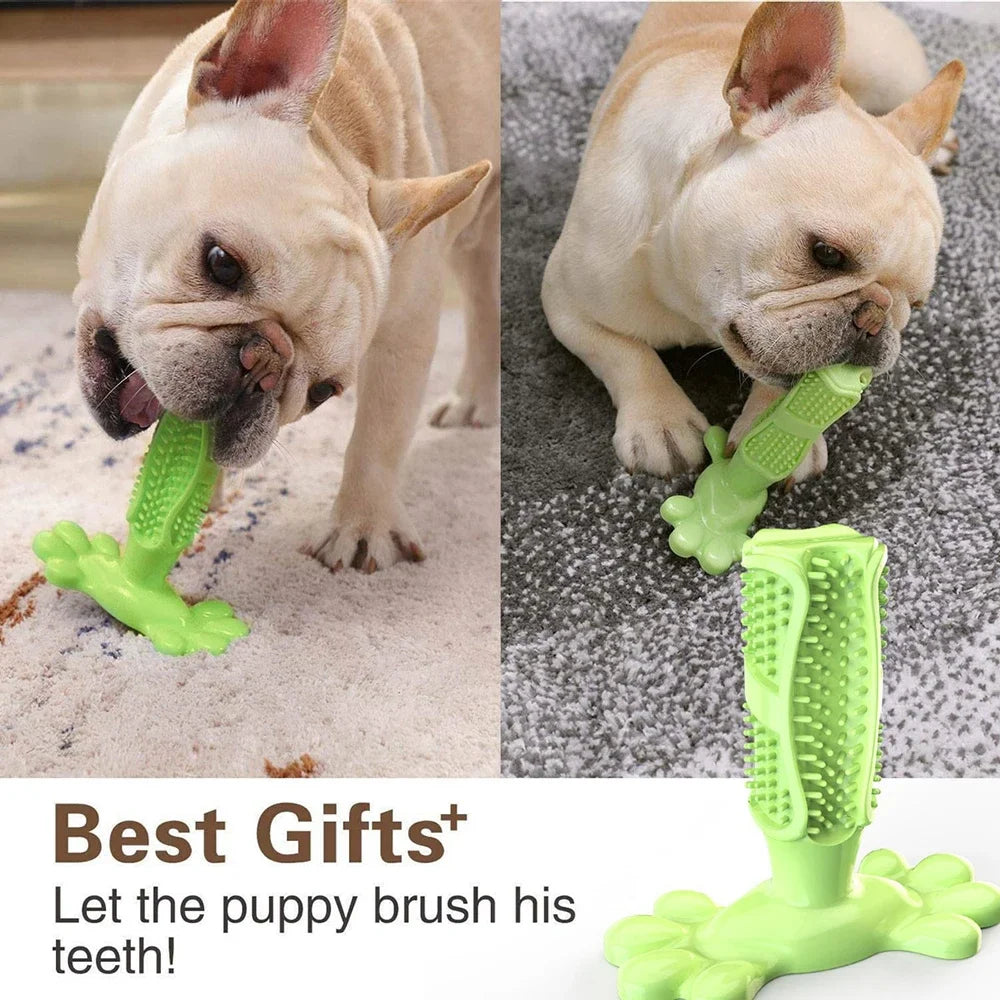 Oral-Cleaning-Toys-For-Dogs